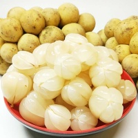 Bòn bon trái to, tươi ngon, loại 1